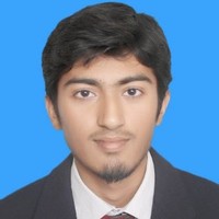 Anas Bashir