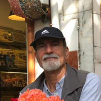 Mohamadali ferdosi