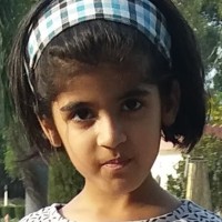 Falezah Ali