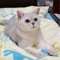 黄浩珉