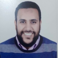 Amr Elhomsy