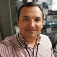 Reynaldo Perez