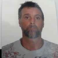 Paul viau