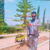 Tesfaye Wako