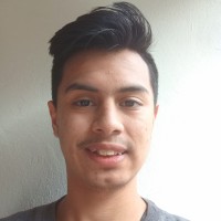 Brian Alexander Fiquitiva Gutiérrez