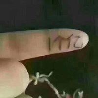 殷向前