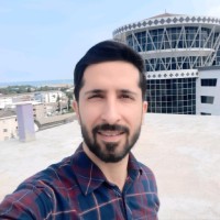 Houman Hedayati