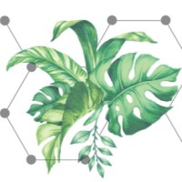 Derma Beauté
