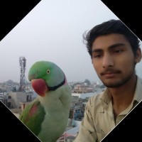 Piyush Kaushik