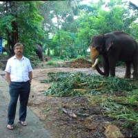 Thirunarayanswamy Alwarsamy