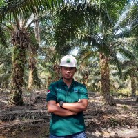 Muhammad Pandu