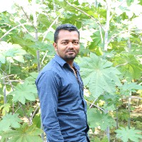 Mayank Patel