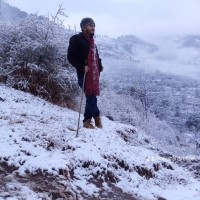 Afraz Arif Abbasi