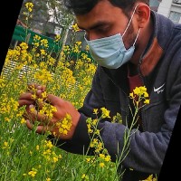 Rakesh Mandal