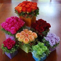 Fulya_Çiçek_Ist Yil
