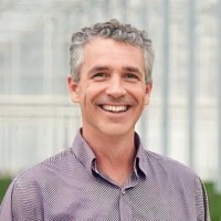 Antonio Henrique Alves Rodrigues