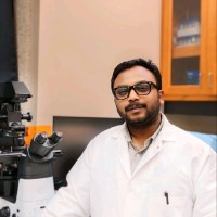 Pallab Shaw, Phd