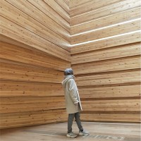 Özge Kamış Yılmaz