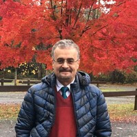 Iraj Mohammadi