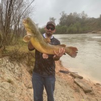 Cody Townsend
