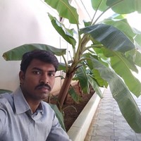 Gokari It Leonia