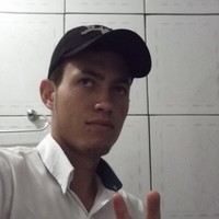 vini silva