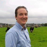 wilco brouwer de koning