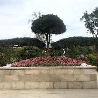 赵泓博