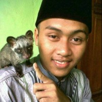 Niko Wijaya