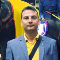 Ravi Ranjan Kumar