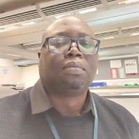 Taiwo Aroyehun