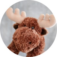 Wally The Moose