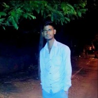 Ankit Pal