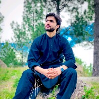 Basit Ali