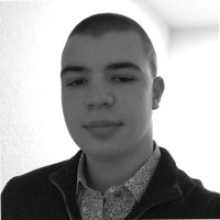 Daris Hodzic