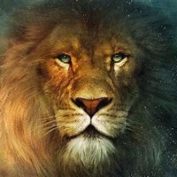 Aslan Liu_