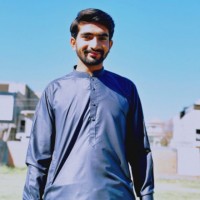 Adeel Raza