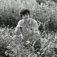 Gem Sorenson