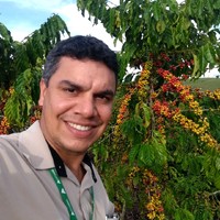 Perseu Perdona