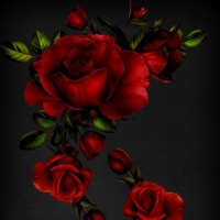 Sohail Sohail