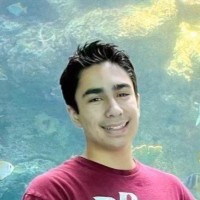 Dillan Desai