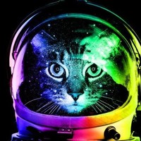 Astro Cat