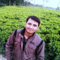 Bipul Giri