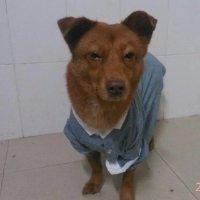 吴忠林
