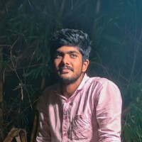 P Gokul Krishna