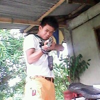 Jamee Gamboa