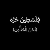 Aya Fathy