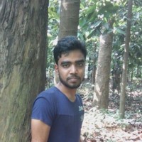 Md Afzal Hossain