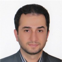 Maysam Seyfi