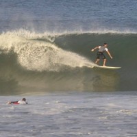 Steve Gates